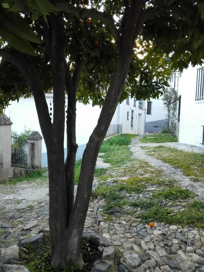 Casa El Naranjo Dulce Villa Linares de la Sierra